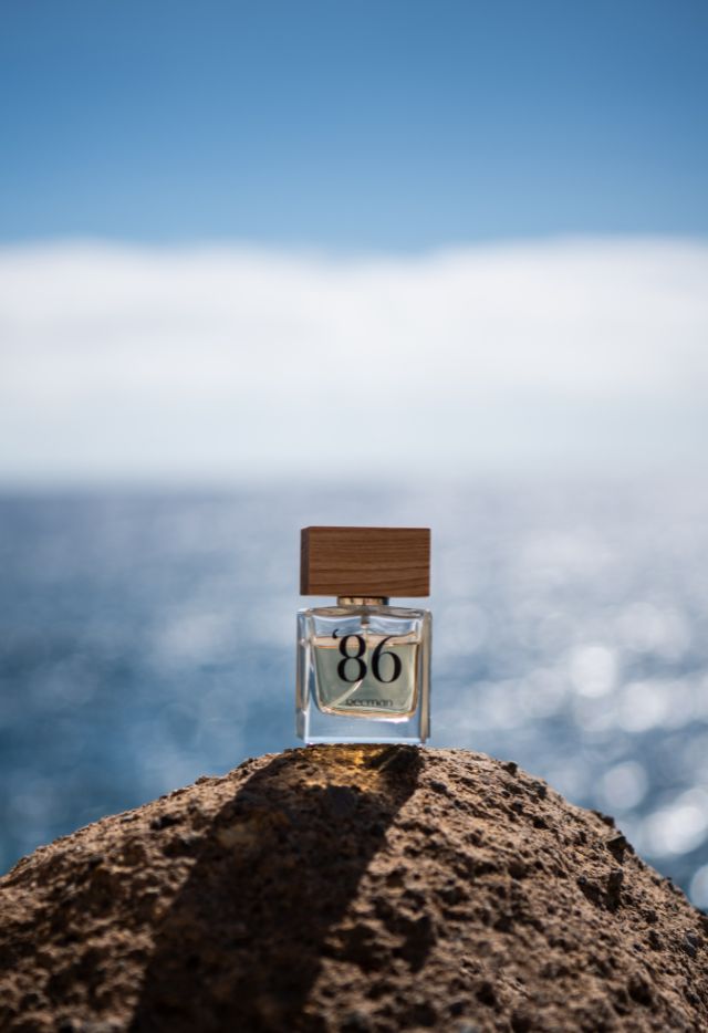 <span style='font-size: 1.9rem;overflow-wrap: inherit;'>PERFUMY</span>